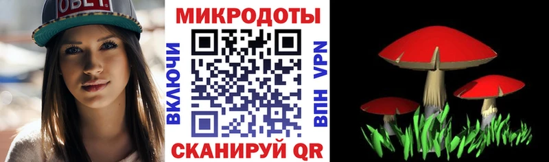 Галлюциногенные грибы Psilocybe  Белореченск 